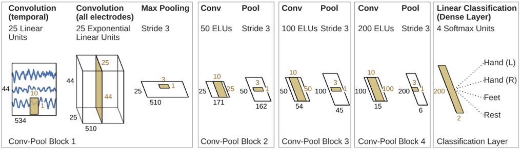 Deep Convolutional Neural Network for EEG