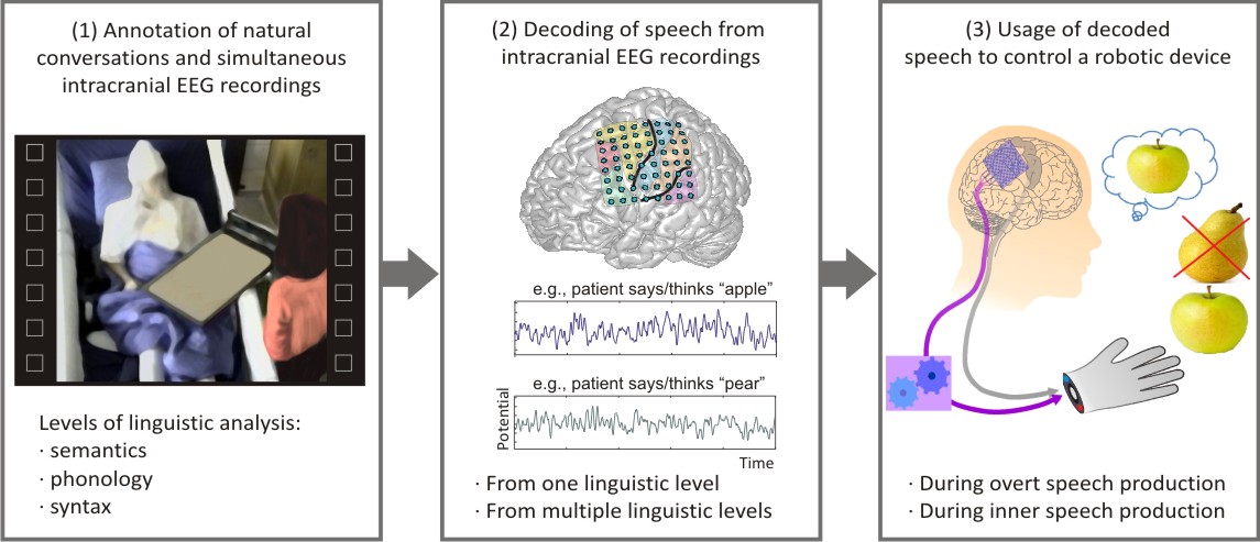 Natural language decoding